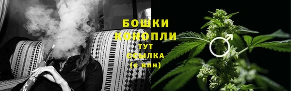бошки Балахна