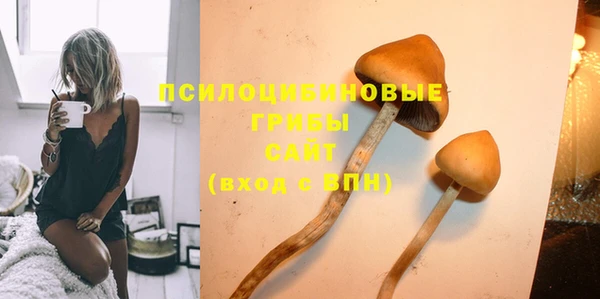 бошки Балахна