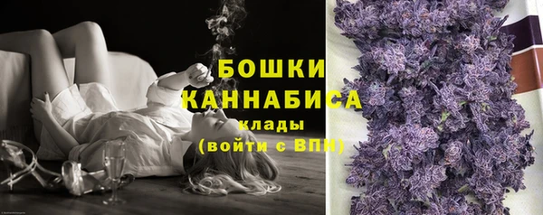 молекула духа Белоозёрский